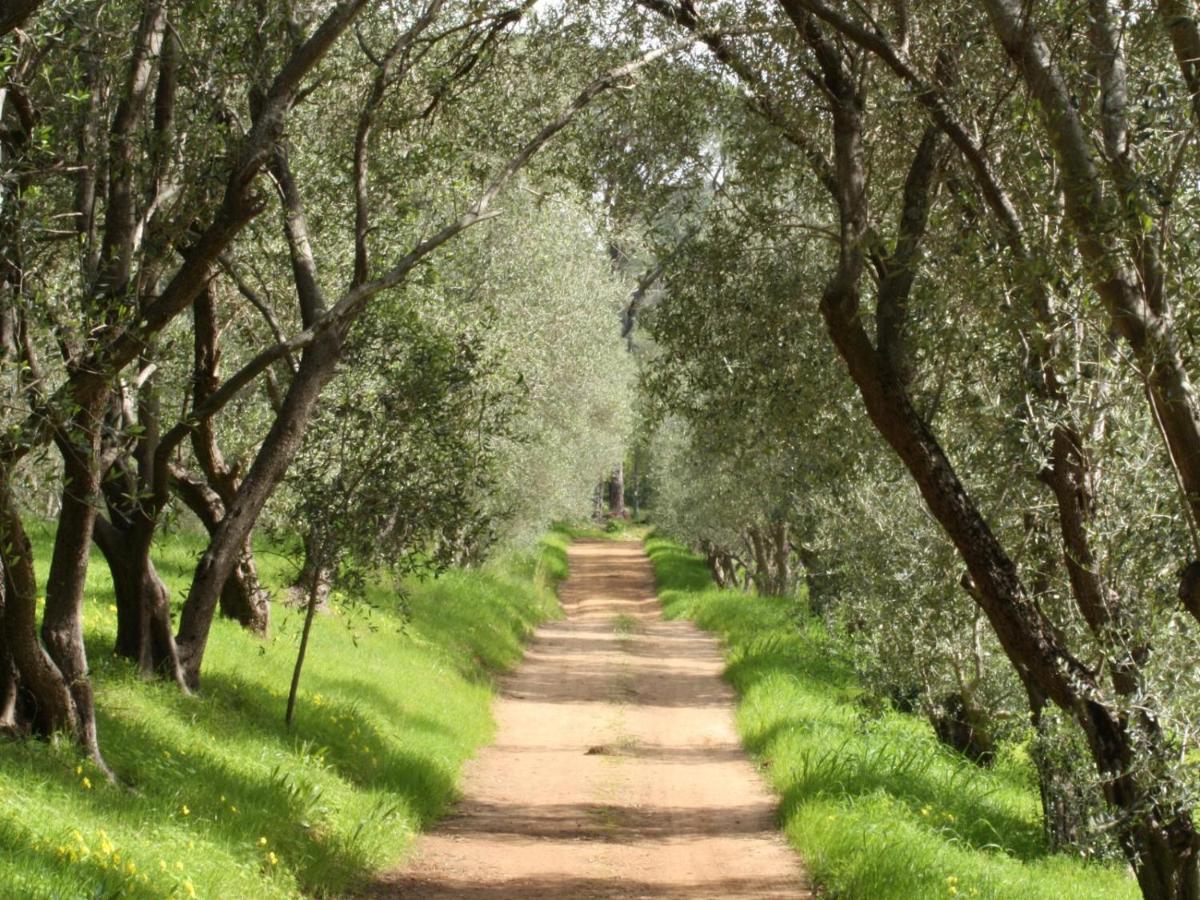 Retreat At Waterfall Valley Paarl Ngoại thất bức ảnh